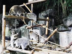 -杭州野生动物世界