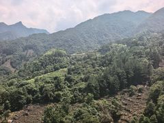 -石台牯牛降景区