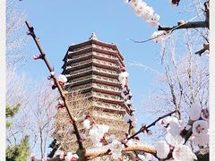 -玲珑塔公园