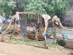 -中国第四纪冰川遗迹陈列馆