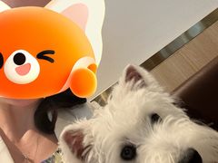 -Tims天好咖啡·贝果(拉斐尔云廊店)