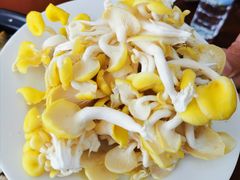 -菌之家·专业纯野生菌火锅·特色炒菌
