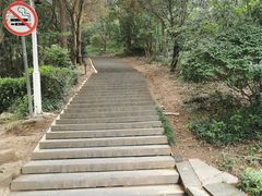 -上海佘山国家森林公园西佘山园