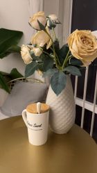 -演员的秘密·皮肤管理