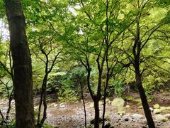 -本溪老边沟风景区
