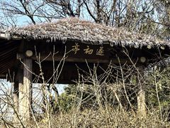 -宝界山林公园