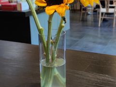 -香园自助小火锅