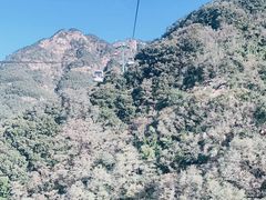 -泰山风景名胜区