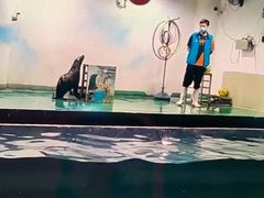 -嘉兴海底世界