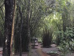 -英西峰林·洞天仙境