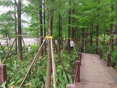 -重庆彩云湖湿地公园