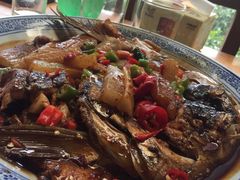 -张鸟园农家乐(张鸟园店)