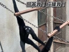 -昆明动物园