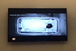 -海豚湾高端月子会所(黄浦店)