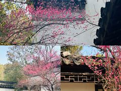 -八大山人梅湖景区