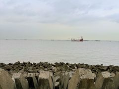 -上海滨江森林公园