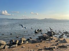 -深圳湾公园(南山区)
