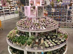 -KKV(深圳kk one 店)