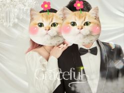 -海马体家庭照相馆(杭州远洋乐堤港店)