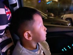 -枫花园汽车电影院(朝阳公园店)