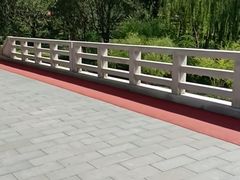 -大兴滨河森林公园