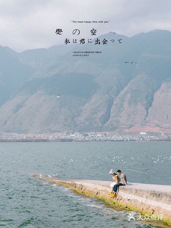 远赴一场海鸥的浪漫 错过等一年｜大理