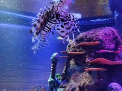 -沈阳海洋探索中心