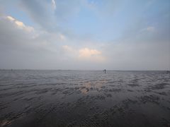 -南汇嘴观海公园