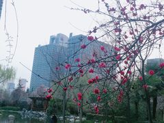 -木塔寺遗址生态公园