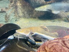 -太平洋海底世界