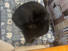 -石舍洒秀咖啡馆