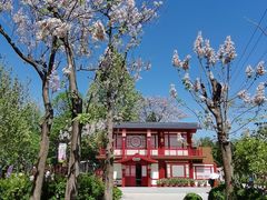 -太阳宫公园
