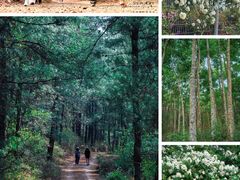 -昆明春城湖畔度假村