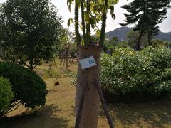 -厦门国家会计学院