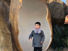 -自然谷恐龙园