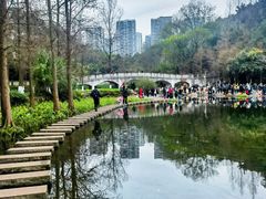 -重庆彩云湖湿地公园