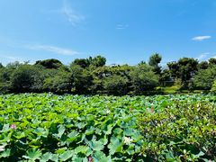 -鹤冈八幡宫