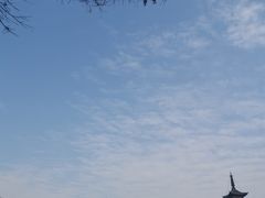 -上海方塔园