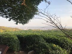 -南京市江宁方山