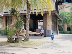 -亚马逊丛林水乐园