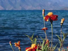 -丽江泸沽湖景区