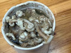 -广达眼镜炖罐(广达店)