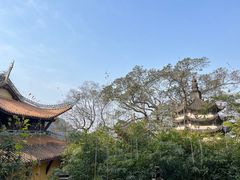 -涂山寺素食餐厅