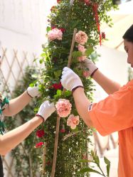 -巴黎婚纱摄影工作室