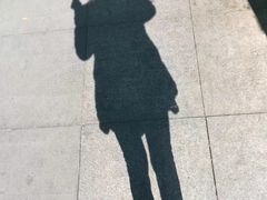 -晓港公园