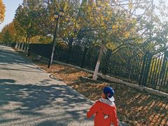 -永定河休闲森林公园