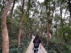 -上海佘山国家森林公园西佘山园