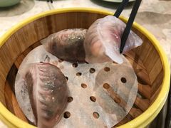 -满乐潮州(深业上城店)