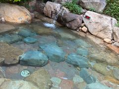 -天目湖涵田半山温泉