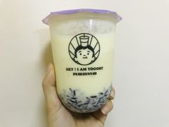 芒芒果海-我是酸奶君(壹方城店)